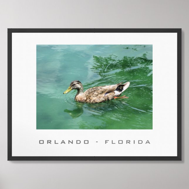 Orlando Florida Duck Travel Poster (Framed Front)