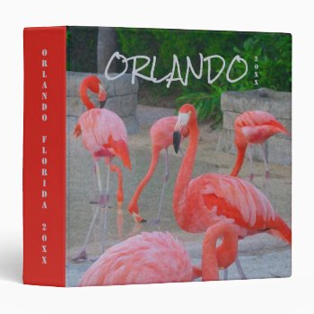 Orlando Florida Flamingos Photo Binder by machomedesigns at Zazzle