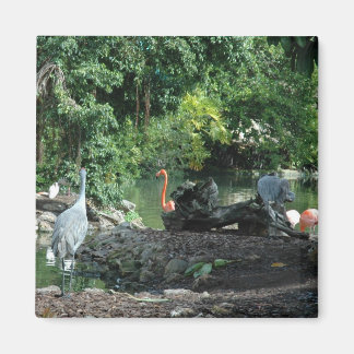 Orlando Florida Magnet