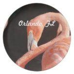 Orlando Plate