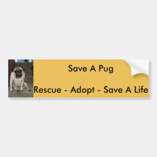 Orlando "Save A Pug" Bumper Sticker