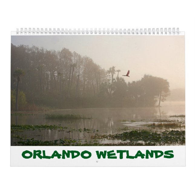 ORLANDO WETLANDS CALENDAR (Cover)