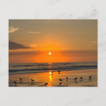 Ormond Beach Floirda Sunrise Postcard
