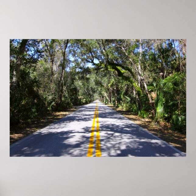 Ormond Beach Loop Poster (Front)