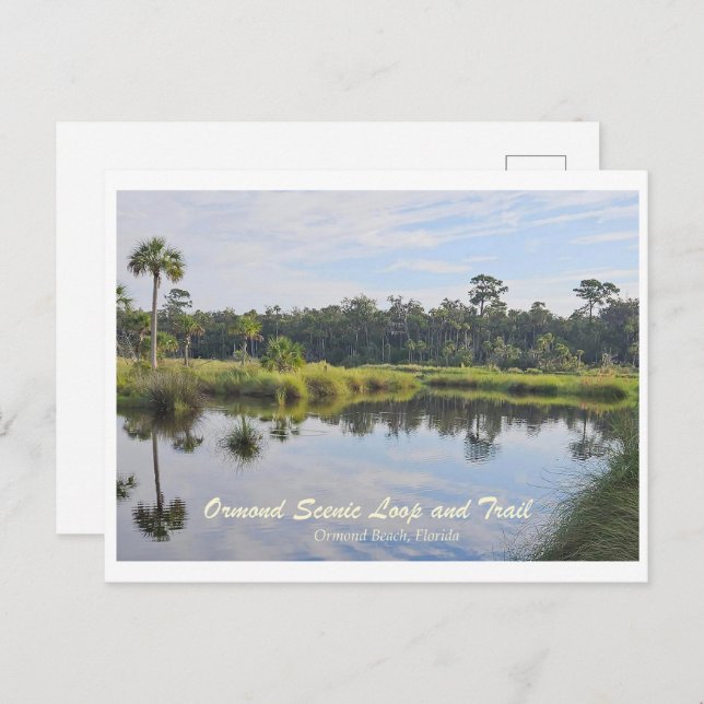 Ormond Scenic Loop and Trail Postcard (Front/Back)