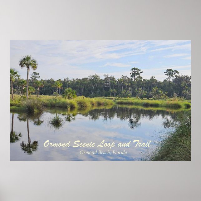 Ormond Scenic Loop Poster (Front)