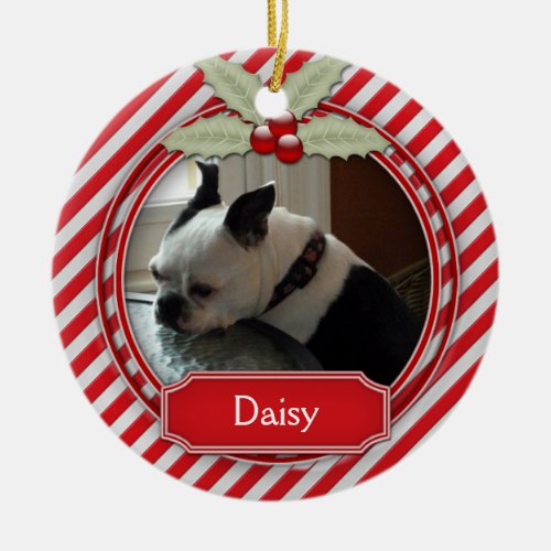 Ornament Candy Cane Stripe Holly For Pets