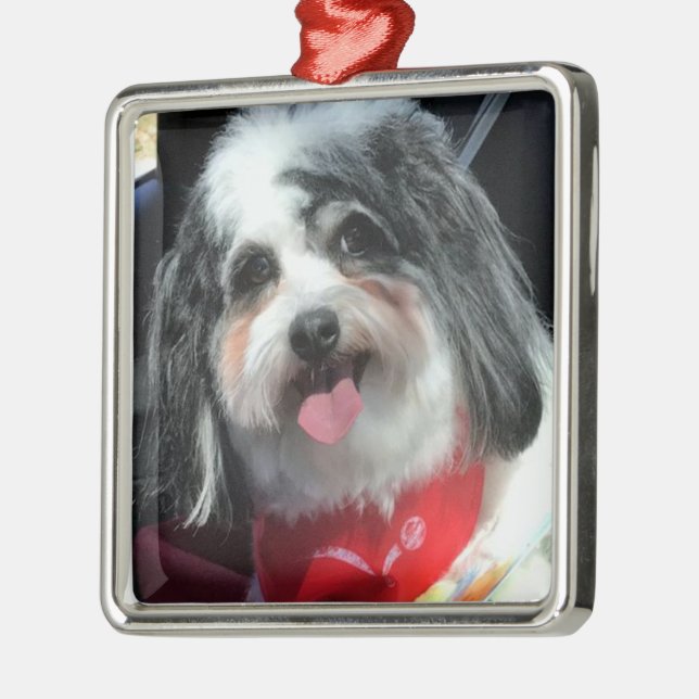 Ornament, Christmas, Dog K-Cee Red Metal Ornament (Left)