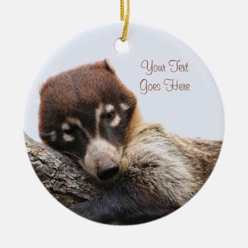 Ornament Coatimundi 4 Circle Ceramic Ornament