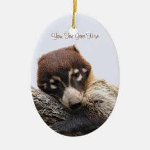 Ornament: Coatimundi #4 (Oval) Ceramic Ornament