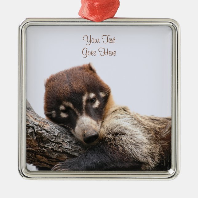 Ornament: Coatimundi #4 (Premium Square) Metal Ornament (Front)