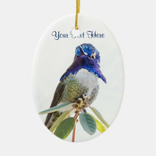 Ornament Costas Hummingbird Oval Ceramic Ornament