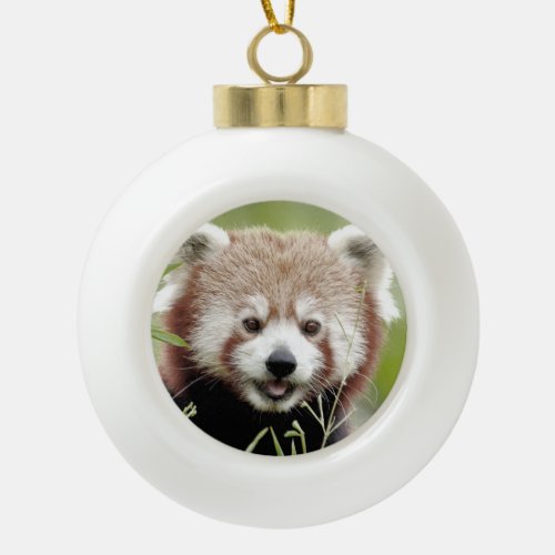 Ornament noel red  panda ceramic ball christmas ceramic ball christmas ornament