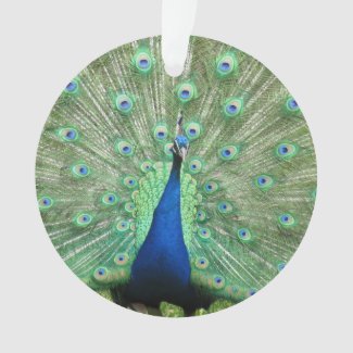 Ornament - Peackock