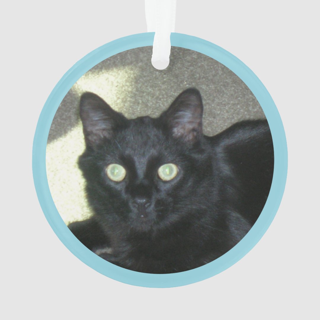 Ornament - Polydactyl Paw Prints and Photo (Back)