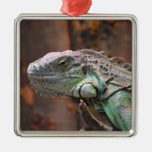 Ornament with colourful Iguana lizard