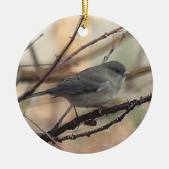 Ornament with Junco (Front)