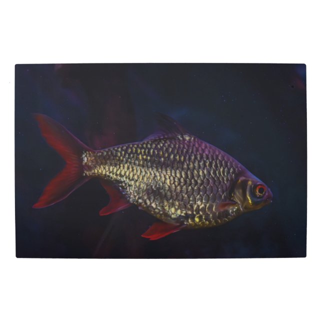 Ornamental Fish Metal Wall Art (Front)
