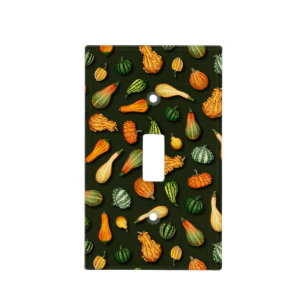 Ornamental Gourds for Autumn, Fall, Thanksgiving Light Switch Cover