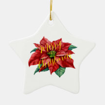 OrnamentCeramic, Star Ornament,holiday cheer,