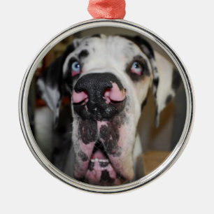 Ornamentdoggen Metal Ornament