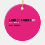 land of trinity  Ornaments