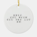 School:
 Aint nobody
 got time for
 That  Ornaments