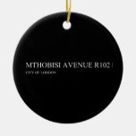 Mthobisi avenue  Ornaments