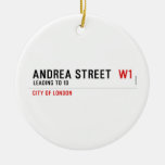 Andrea street   Ornaments