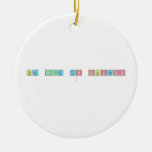 The Code to Success
   Ornaments