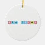 N|erdy princ|ess  Ornaments