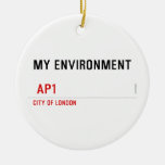 My environment    Ornaments