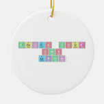 Design Your
 Own 
 Labcoat  Ornaments