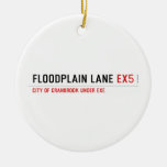 Floodplain lane  Ornaments