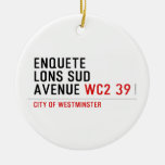 enquete  lons sud  avenue  Ornaments