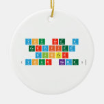you are a 
 certified
 djster
 (your name)  Ornaments