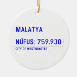 MALATYA  NÜFUS: 759.930  Ornaments