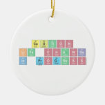 CAUTION
 LIFE CHANGE
 IN PROGRESS  Ornaments