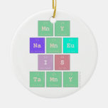 my
 name
 is 
 tamy   Ornaments