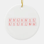 intelligent
 entourage   Ornaments