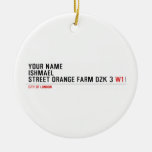 Your Name ishmael Street orange farm dzk 3  Ornaments