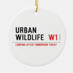 URBAN WILDLIFE   Ornaments