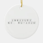 Chemistry
 Ms. Krajcirik  Ornaments