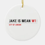 Jake is mean  Ornaments
