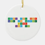 thank you for
 being an amazing 
 teacher
 from Erin  Ornaments