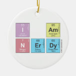 I AM
 N|erdy  Ornaments