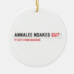 Annalee Noakes  Ornaments