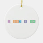 I Like B irds   Ornaments