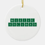 BackFire
 Intelligence  Ornaments