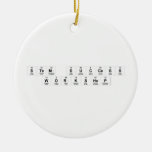 STEM Success
 Workshop  Ornaments